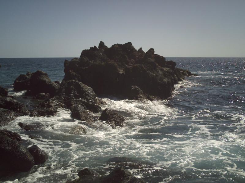 Canaries - dived round that rock, I did.