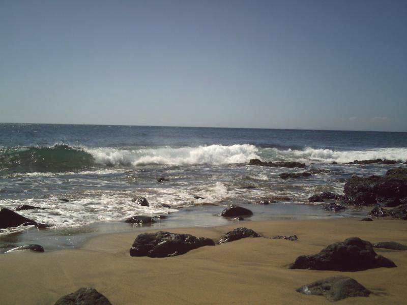 Canaries