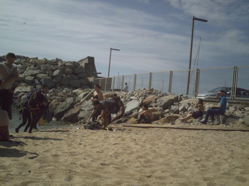 Canaries kitting up with sand