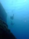 Gozo - wall and random divers