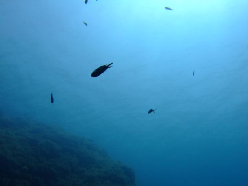 blue hole, gozo