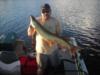 If I’m not diving I’m Musky fishing.