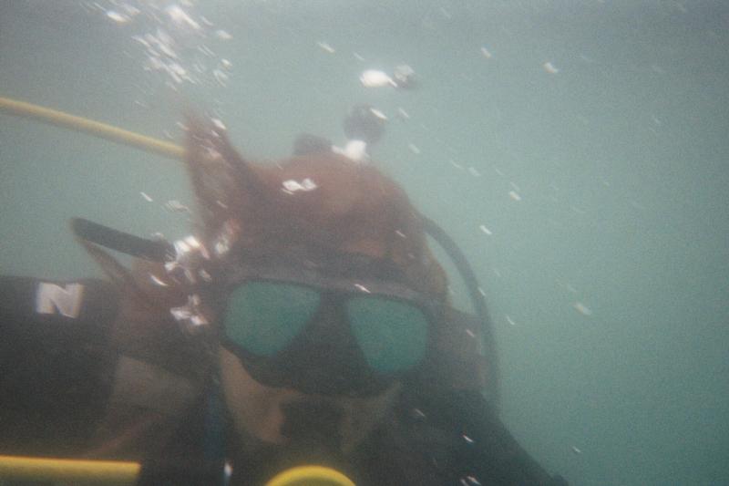alida meiring 1st dive miricle waters