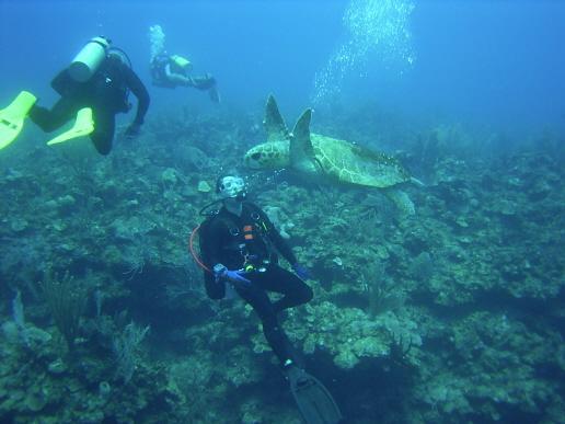 Logger over sandy point, Belize