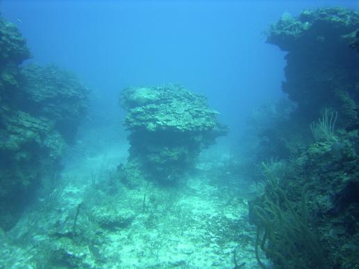  coral canyon