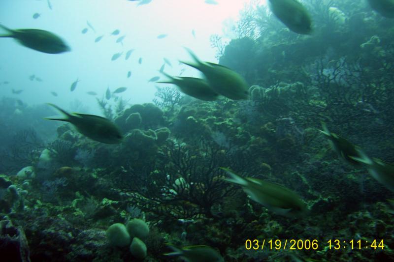Tobago