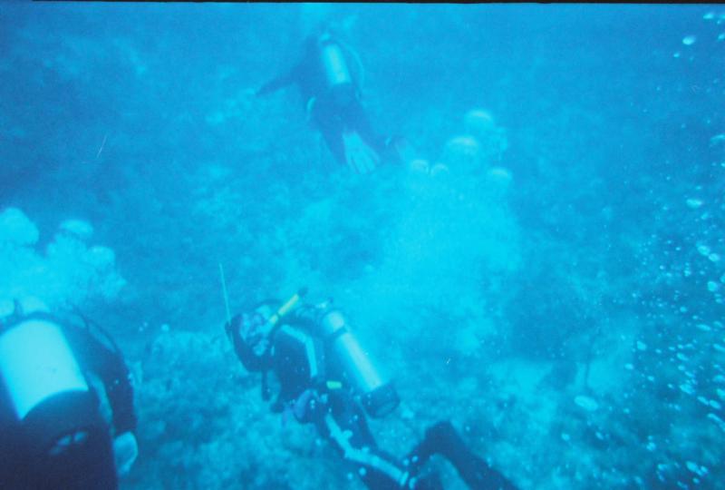 Hunting for Lobster at Islamorada (FL. Keys)2006