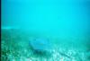 ray- Belize