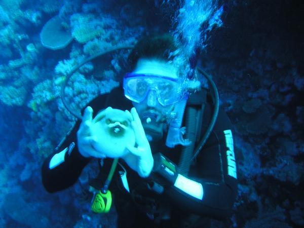 My new Friend :o) on the Great Barrier Reef
