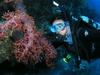 Lourdes at diverssanctuary house reef,Batangas philippines