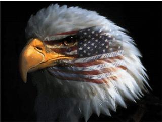 Eagle