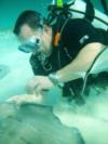 Stingray city