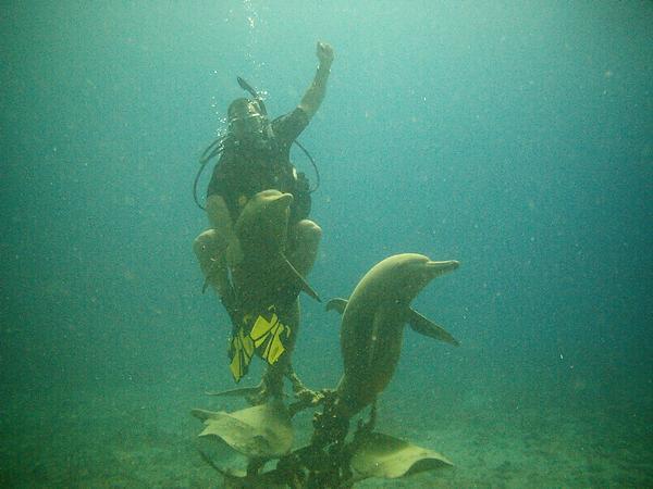 Dolphin encounter