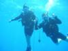 My Brother and I, Great barrier reef australia