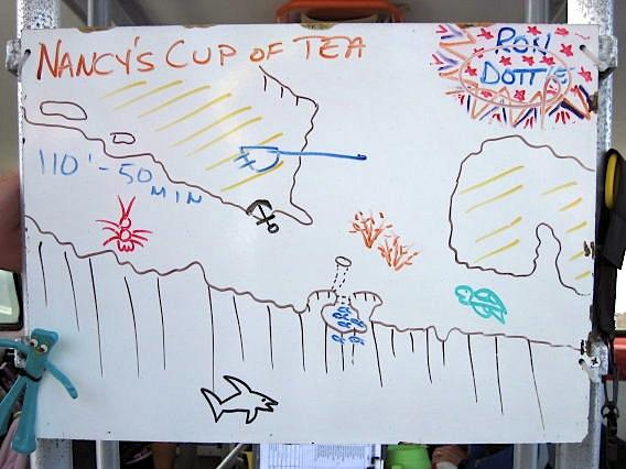 Pre Dive Planning - Nancy’s Cup of Tea