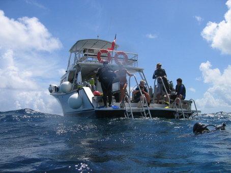 Reef Fantasea, Little Cayman