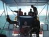 Fiji Crew