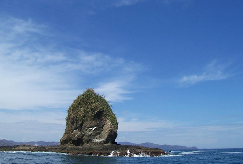 Monkey Head (Playa del Coco)