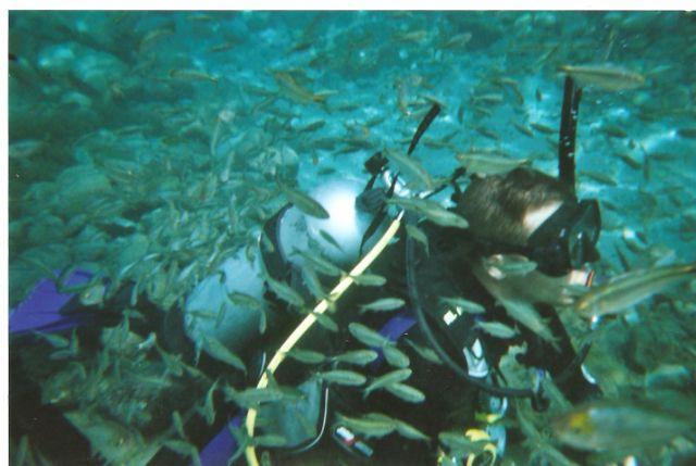 my first dive