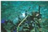 my first dive