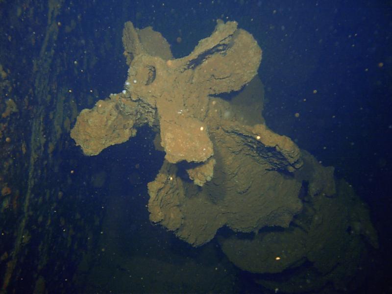 Torpedo in the Hold of the Heian Maru  Truk Lagoon