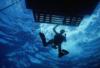Cozumel Dive trip... Visibility 100 ft