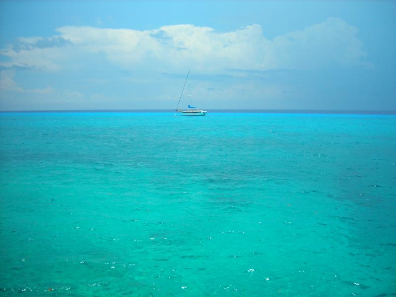 Increadible vis in Cozumel 7/29/08