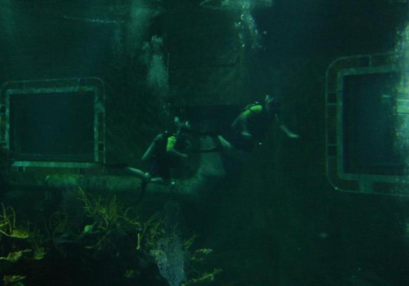 Diving Disney Epcot inFL