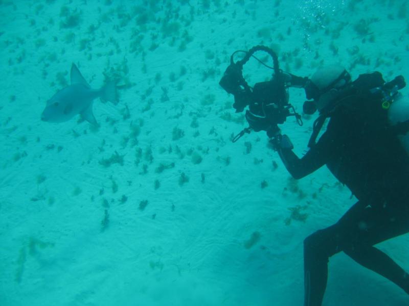 Stan Waterman and Ocean Trigger - Belize 2009