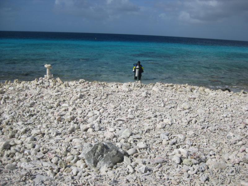 Beach Entry - Bonaire 2009