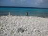 Beach Entry - Bonaire 2009