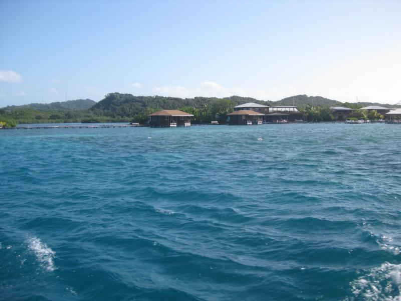 Cocoview resort - Roatan 2009