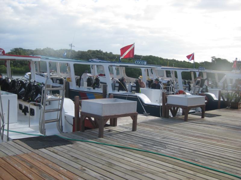 Cocoview fleet - Roatan 2009