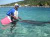 Dolphin Dive at Anthony’s Key Resort - Roatan 2009