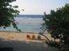 View from Beah House #8 - Roatan 2009