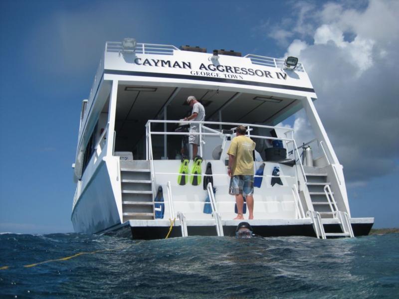 Cayman Aggressor - 2009
