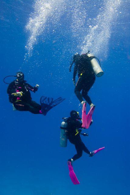 Viking Women dance/dive