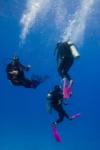 Viking Women dance/dive