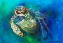 Turtle-Bonnielynn’s signature painting