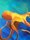 Orange Octopus.....one of Bonnielynn’s paintings