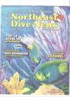 NE Dive Magazine ....my cover art