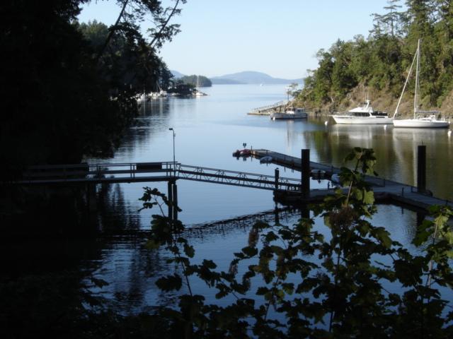 Sheltered Cove