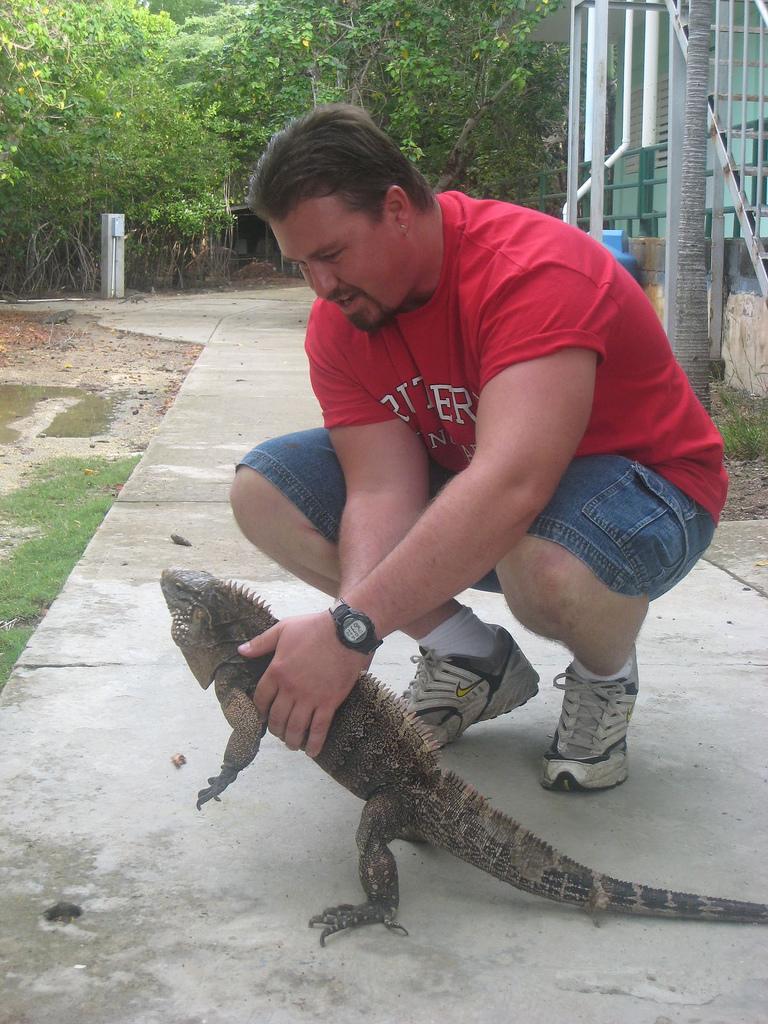 Pettin’ the iguana in Puerto Rico