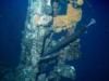 Mahi mast & trumpetfish