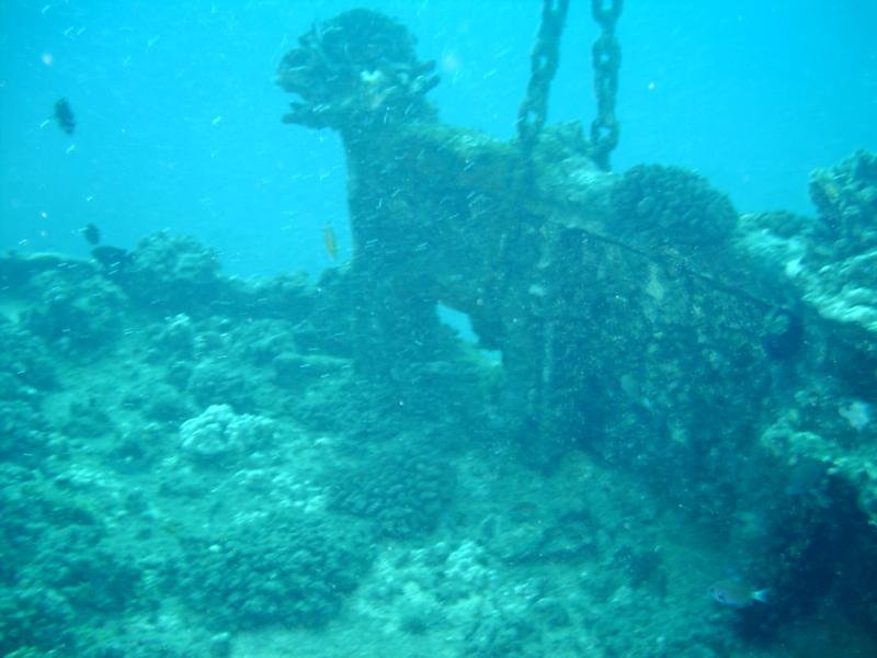 Mahi deck and rail; corals