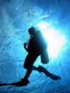 Diving in Key West