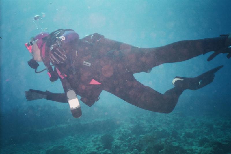 Dive Buddy in Hawaii