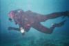 Dive Buddy in Hawaii
