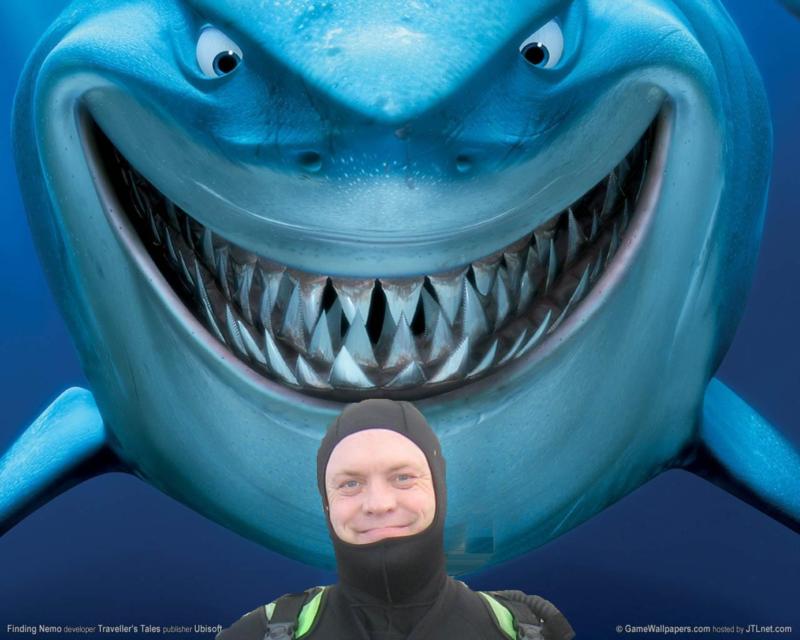 Looking for Nemo.....still