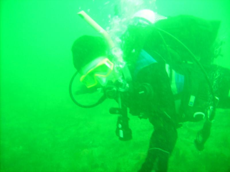 Cecil Claspell (seahare) Monterey Bay (Breakwater) 8-25-08